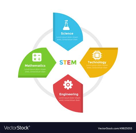 Stem education infographics template diagram Vector Image