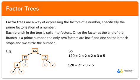 Factor Trees - GCSE Maths - Steps, Examples & Worksheet