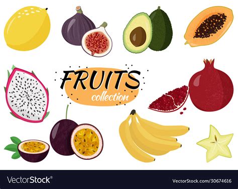 Fresh fruits collection set sweet Royalty Free Vector Image