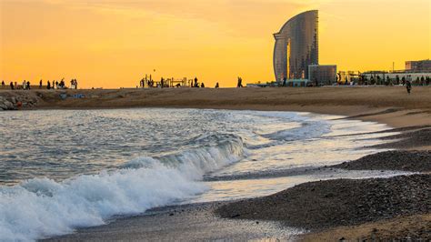 Are Dogs Allowed In Barcelona Beaches