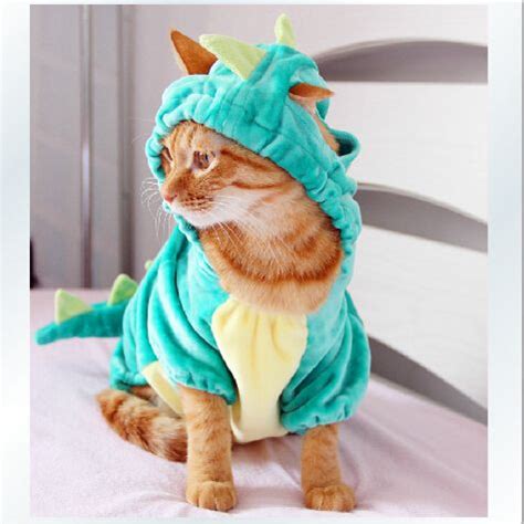 Cheap Cat Clothing, Buy Directly from China Suppliers: Mini beauty-Funny Changing Dinosaurs ...