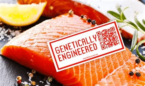 GMO AquAdvantage salmon labeling questions resurface - Genetic Literacy ...