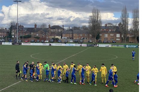 Tulips Belatedly Flower | Harborough Town Football Club