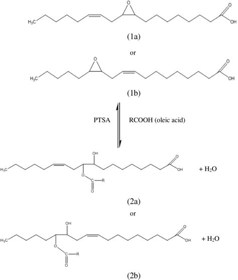 Oxirane ring opening reaction to form HYOOA. Notes: 9-10-monoepoxy... | Download Scientific Diagram