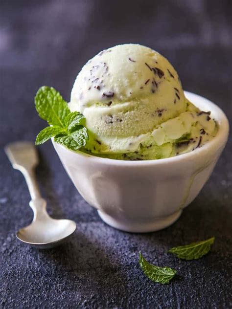 Mint Chocolate Chip Ice Cream - Completely Delicious