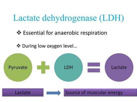 Isoenzymes | PPT