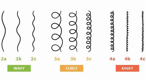 33+ Hair Types Chart Men - BrooklynneSura