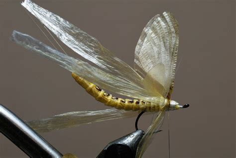 Creative Artistic Realistic Fly Tying Hexagenia Limbata Mayfly Photography | Fly tying, Fly ...