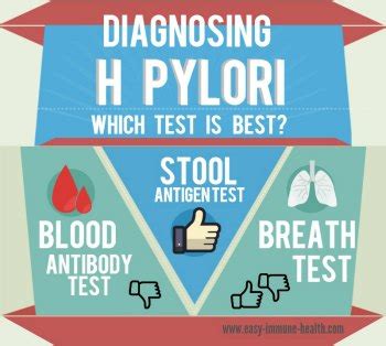 An H Pylori Blood Test. Is it a Good Choice to Check for H Pylori?