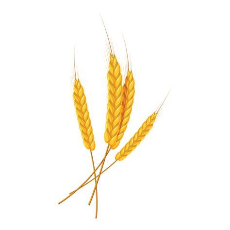 Four wheat ears icon, cartoon style 15071052 Vector Art at Vecteezy