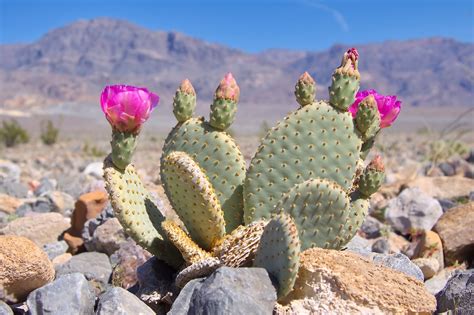 Death Valley - WorldAtlas