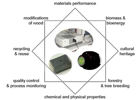 Major NIR spectroscopy applications within wood science and technology ...