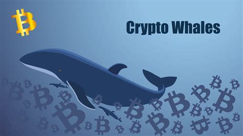 What Is a Crypto Whale? Key Insights into Market Giants