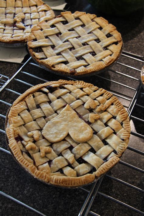 Wild Blueberry Pie Free Stock Photo - Public Domain Pictures