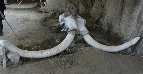 New evidence shows how humans hunted mammoths 15,000 years ago