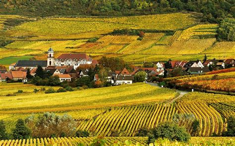 Dordogne Wine Tours of the Bergerac Vineyards | Les Eyzies de Tayac