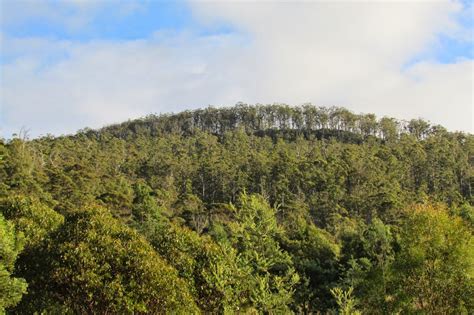 Brown Mountain | Hiking South East Tasmania