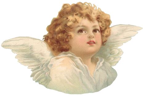 Cherub Angel - angel png download - 982*648 - Free Transparent Cherub png Download. - Clip Art ...