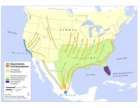 Monarch Butterfly Migration Map 2022