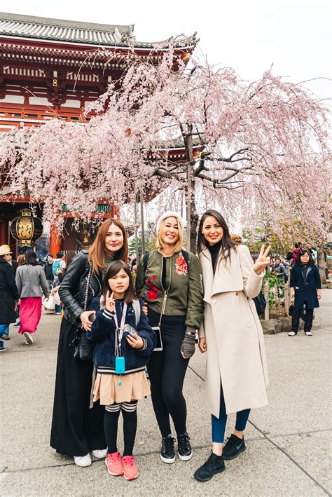 8 Things You Should Know Before Visiting Asakusa Sensoji Temple During Cherry Blossom Season ...