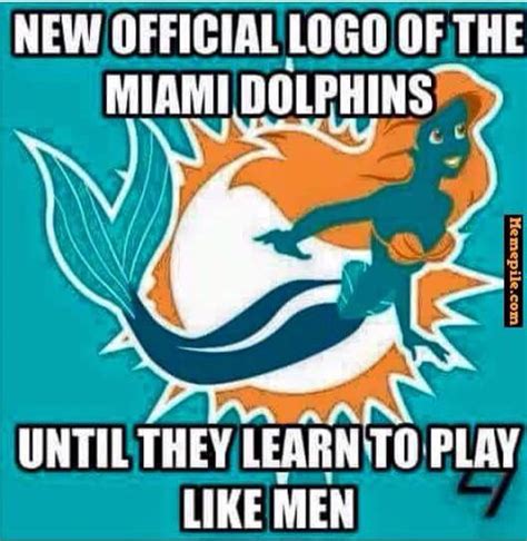 Miami memes | Miami dolphins funny, Miami dolphins memes, Miami dolphins