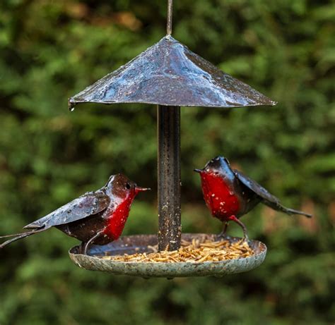 Hanging Robin Bird Feeder