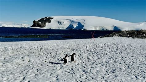 Antarctica: A Forbidden Land