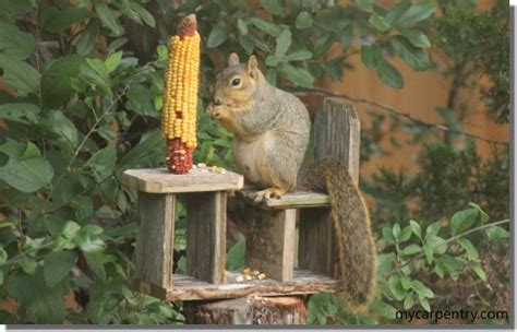 Squirrel Feeder Plans - How to make a Squirrel Feeder