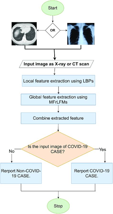 Flowchart of x-ray image and CT scan classification models.... | Download Scientific Diagram