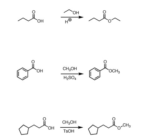 Fischer Esterification Mechanism - Detailed Explanation with Examples