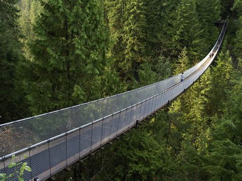 Capilano Suspension Bridge Park a Vancouver | ARC ART blog by Daniele Drigo