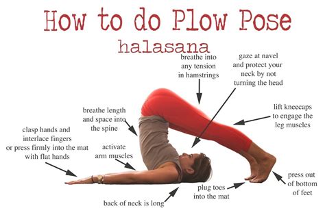 Halasana (Plow Pose) Steps and Benefits | Hyzape