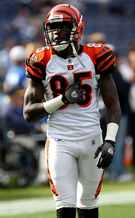 Chad Ochocinco Wallpapers - Wallpaper Cave