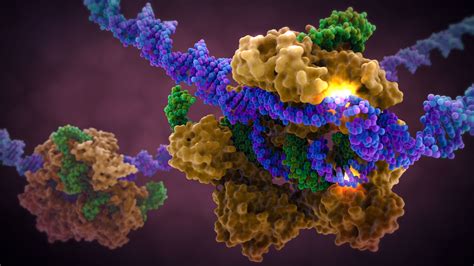 CRISPR Cas9 Gene Editing: Scientific Illustration - Medical ...