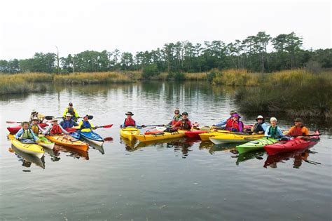 2 Hour Guided Kayak Tour / Kitty Hawk Maritime Forest | Duck Village Outfitters