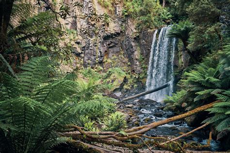 Discover and plan your next escape to The OtwaysOtways Walks And Waterfalls Guide - Otways