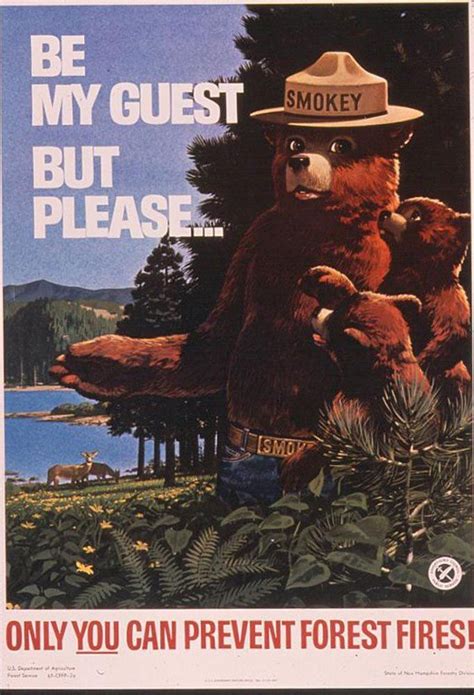 Happy Birthday, Smokey Bear! See Him (and His Slogans) Through the ...