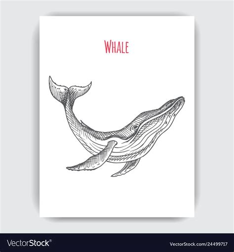 Hand drawn sketch whale tattoo with Royalty Free Vector