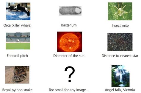 Nanotechnology size and scale | Resource | RSC Education