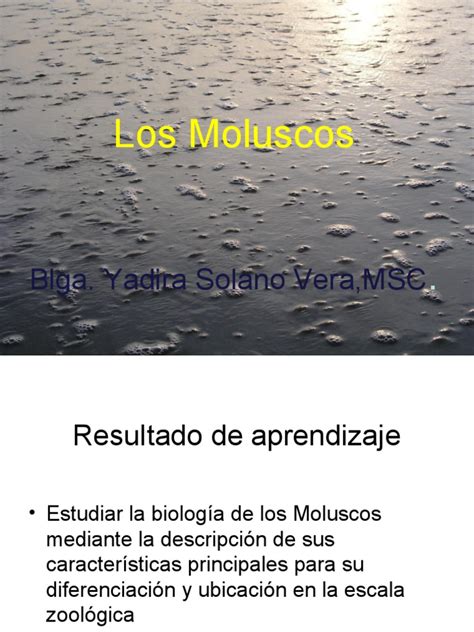 Moluscos1-2021 Agosto | PDF | Moluscos | Anatomía