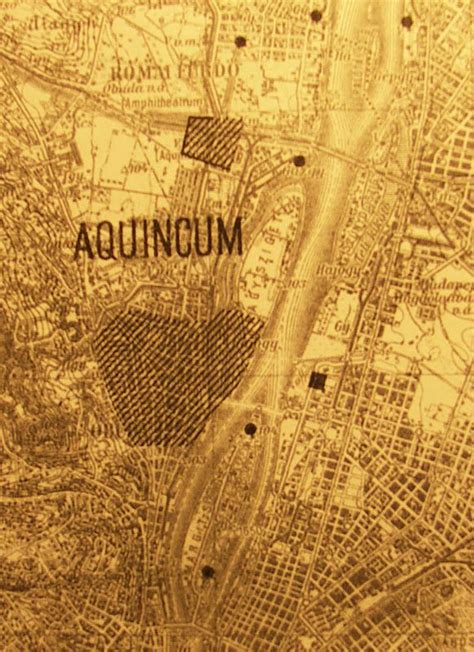 Aquincum map | Map, Vintage world maps, Local attractions