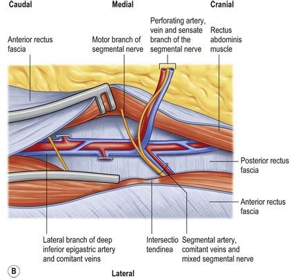 Inferior Epigastric Artery