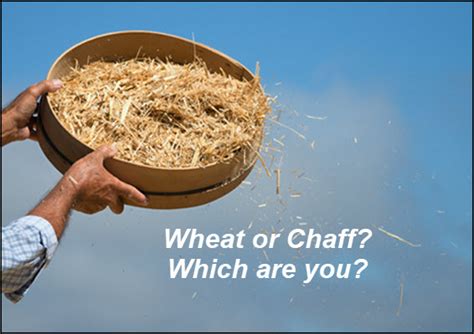 Are you the Wheat or the Chaff? – KnowingGod