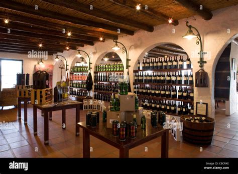 Stellenbosch: Blaauwklippen Estate - wine tasting cellar Stock Photo - Alamy