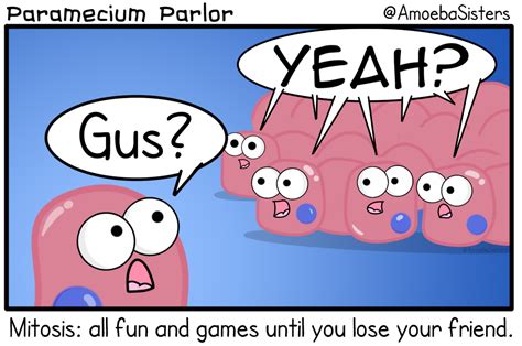 Mitosis Comic Strip