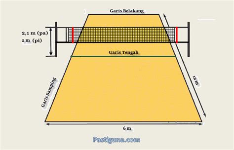 Ukuran Lapangan Bola Voli Standar Adalah - IMAGESEE