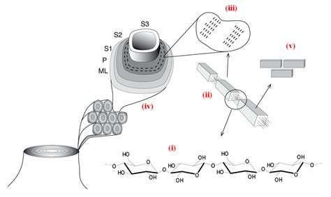 Crystalline Nanocellulose — Preparation, Modification, and Properties | IntechOpen