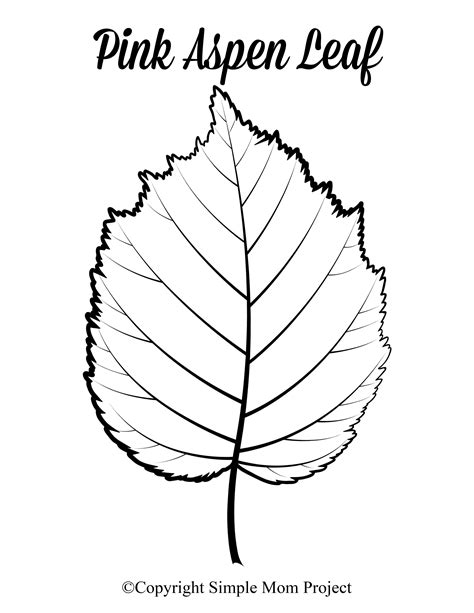 Free Printable Large Leaf Templates, Stencils and Patterns – Simple Mom ...