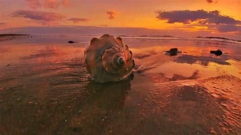 Some of the Best Outer Banks Beaches | Outer Banks Concierge