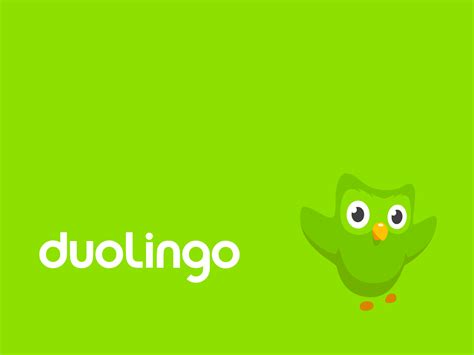 Duolingo Wallpapers - Wallpaper Cave